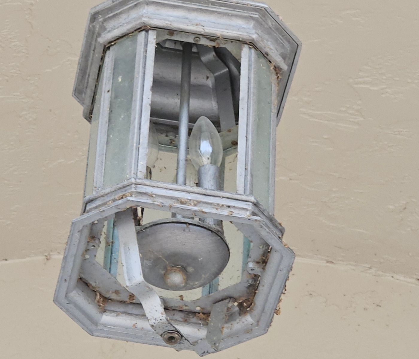 Light Fixture